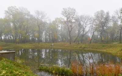 köd illuztráció ősz illusztráció