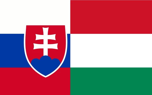A szlovákiai magyar nyelvhasználat „fáziskésésének” példáiból