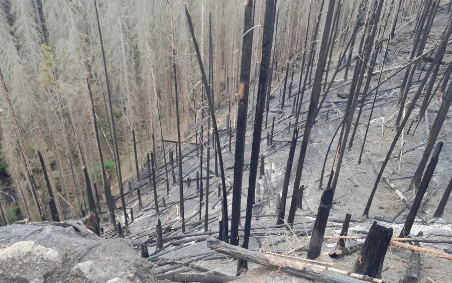 Kilencedik napja küzdenek a szlovákiai tűzoltók a csehországi erdőtűzzel (+KÉPEK!)