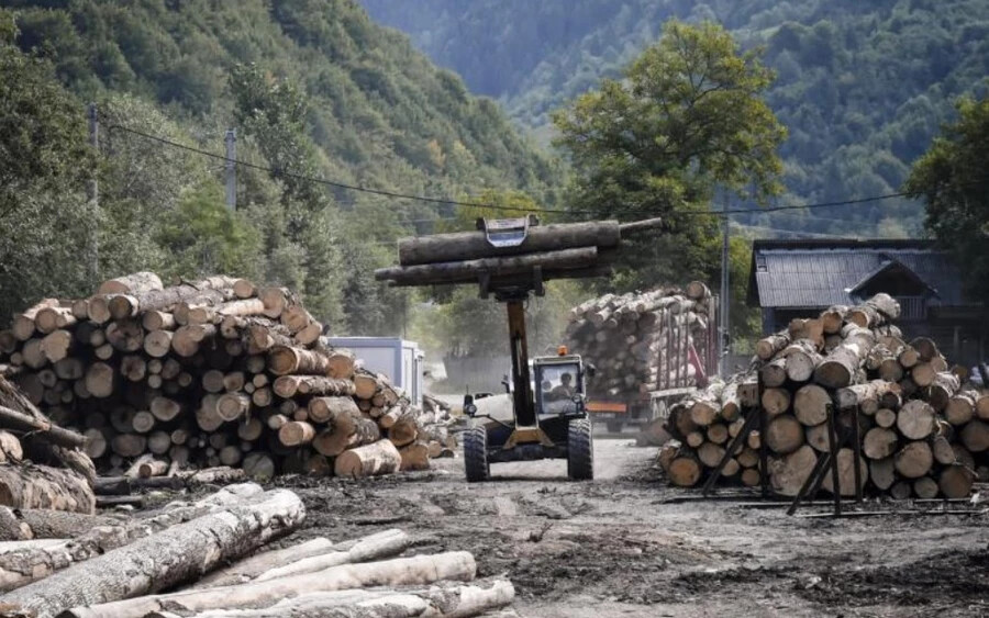 A tűzifa iránti kereslet jelenleg rekordokat döntöget, mivel sokan télre készleteznek belőle. Ján Budaj környezetvédelmi miniszter ezért felszólította Samuel Vlčan földművelési minisztert, hogy szabályozza a Szlovákiából külföldre importált fa mennyiségét…
