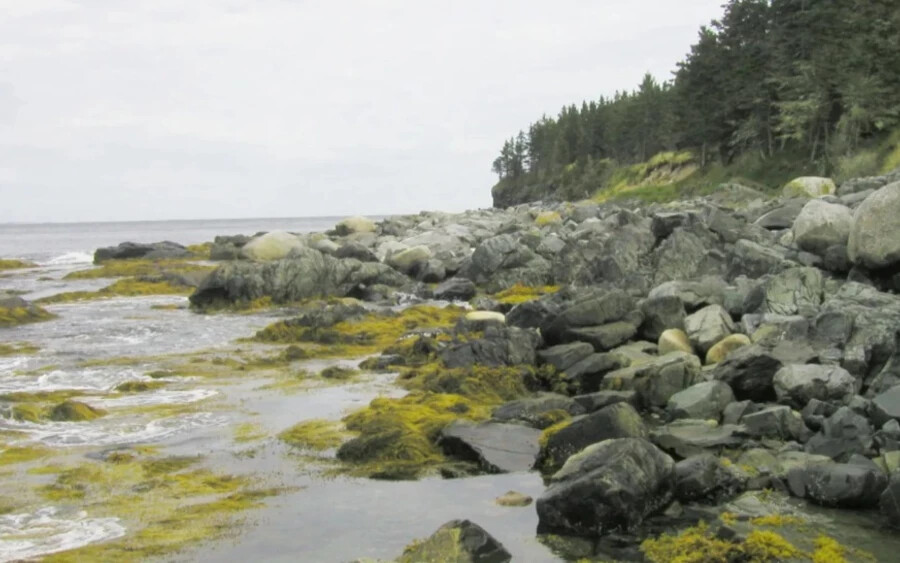 A JamesEdition szerint például a kanadai Új-Skóciában található 32 hektáros Gravel Island 470 000 euróba kerül. Ami ezt a szigetet kiemeli a többi közül, az a saját, körülbelül 1000 négyzetméteres tava.