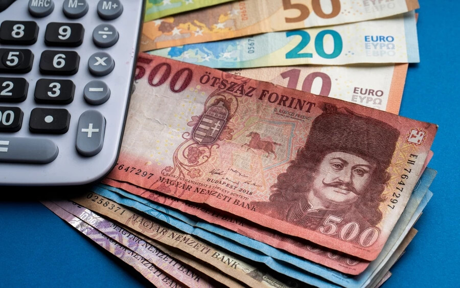 A főügyészség szerint azonban ez nem volt igaz, mivel a vádlott egy nagyobb összeget vett ki készpénzben az egyik kaposvári ATM-ből, majd kb. 6 millió forintnak megfelelő eurót egy másik számlára utalt át. 