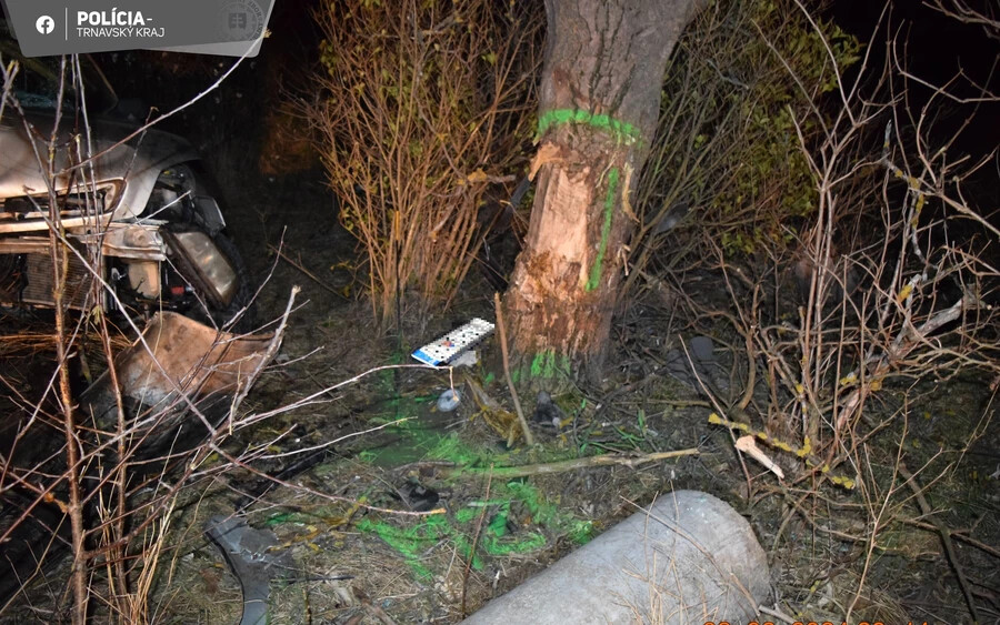 SÚLYOS baleset: Áthajtott a fekvő betonoszlopon, fának hajtott egy részeg sofőr Diószegen