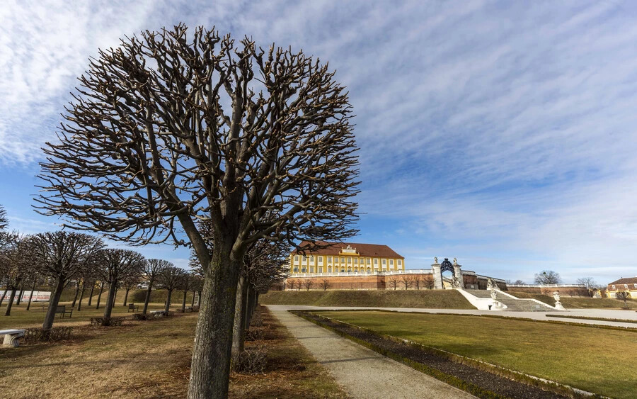 Csipkerózsika-álmából segíti feléleszteni  Ausztria legnagyobb vidéki kastélyegyüttesét