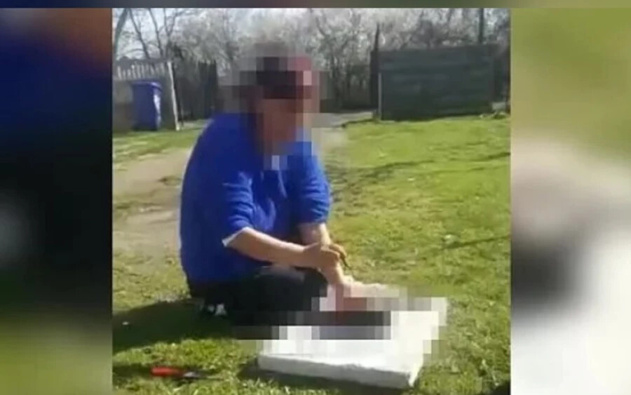 A Nagymihályi járás községében történt esetről az internetre egy videó is kikerült, amelyben látni, hogy a pluska.sk szerint roma származású nő egy késsel kibelez egy kiskutyát, majd tűket szúr a testébe.
