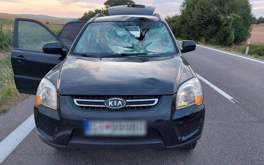 SZÖRNYŰ BALESET: Őznek hajtott két autó, csúnyán összetörték magukat