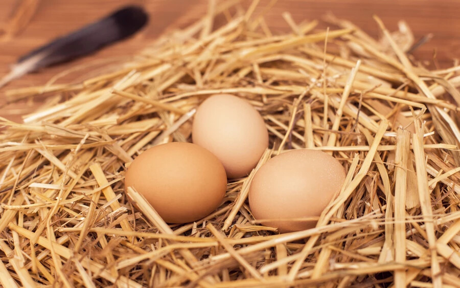 A tiszta tojást nem szükséges a felhasználás előtt megmosni, mivel mosás során sérülhet a tojás természetes, külső védőrétege, így a baktériumok könnyen elszaporodhatnak a belsejében. Amennyiben a tojás szennyezett, tisztítása szárazon javasolt.
