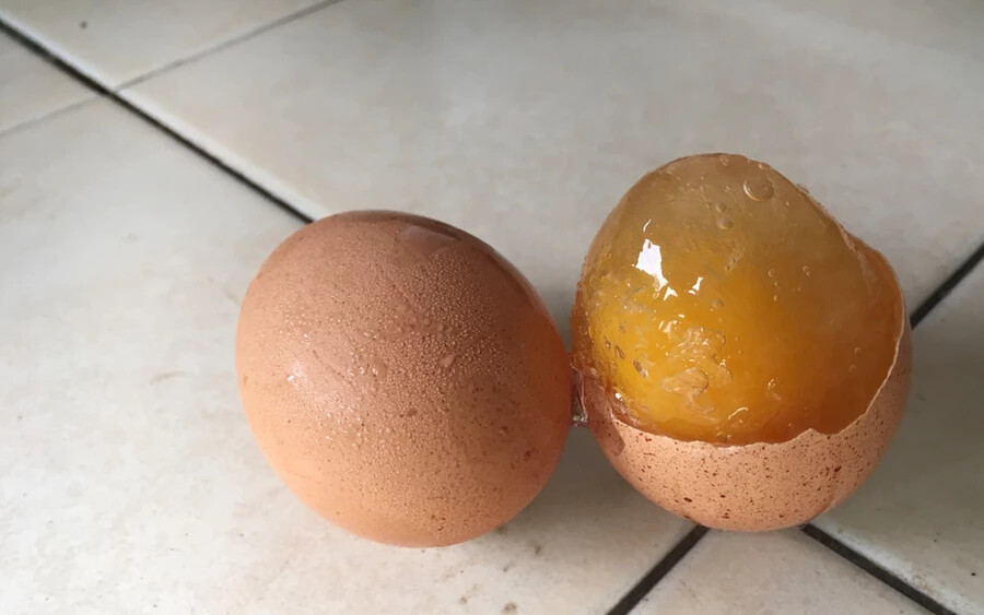 A tojásban lévő folyadék fagyasztás hatására kitágul, szétfeszítve a héjat. Ezáltal a tojás belső része nem kap elég védelmet a baktériumokkal szemben. Ha mindenképp szeretné lefagyasztani a tojást, érdemes előtte felverni, és légmentesen zárható edényben helyezni a fagyasztóba.