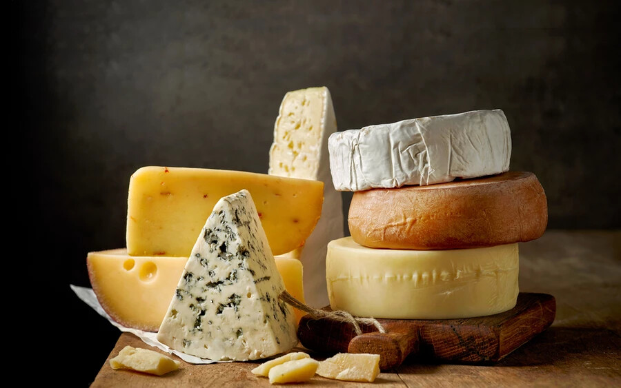 Tejből, tejoltó anyagból és sajtkultúrából jön létre a sajt, amiben többféle baktérium is megtalálható a sajt fajtájától függően. A hosszan érlelt sajtok tartalmazzák a legtöbb élő mikroorganizmust, mint például a parmezán, a csedár és a gouda.
