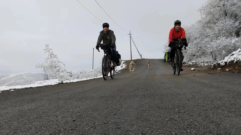 Téli biciklizés Signagi városnál, Grúzia