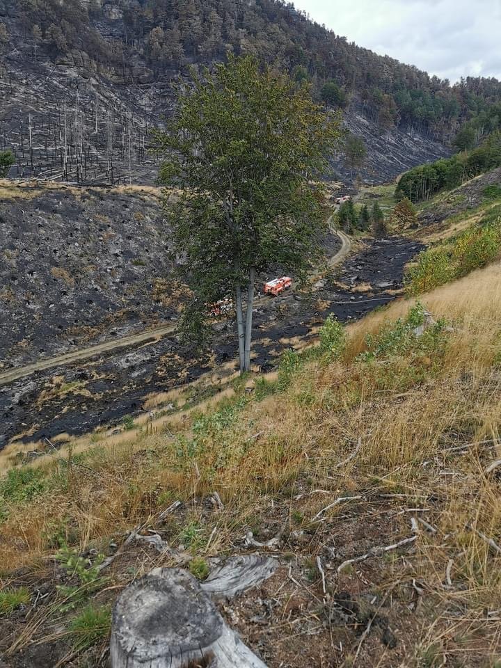 Kilencedik napja küzdenek a szlovákiai tűzoltók a csehországi erdőtűzzel (+KÉPEK!)