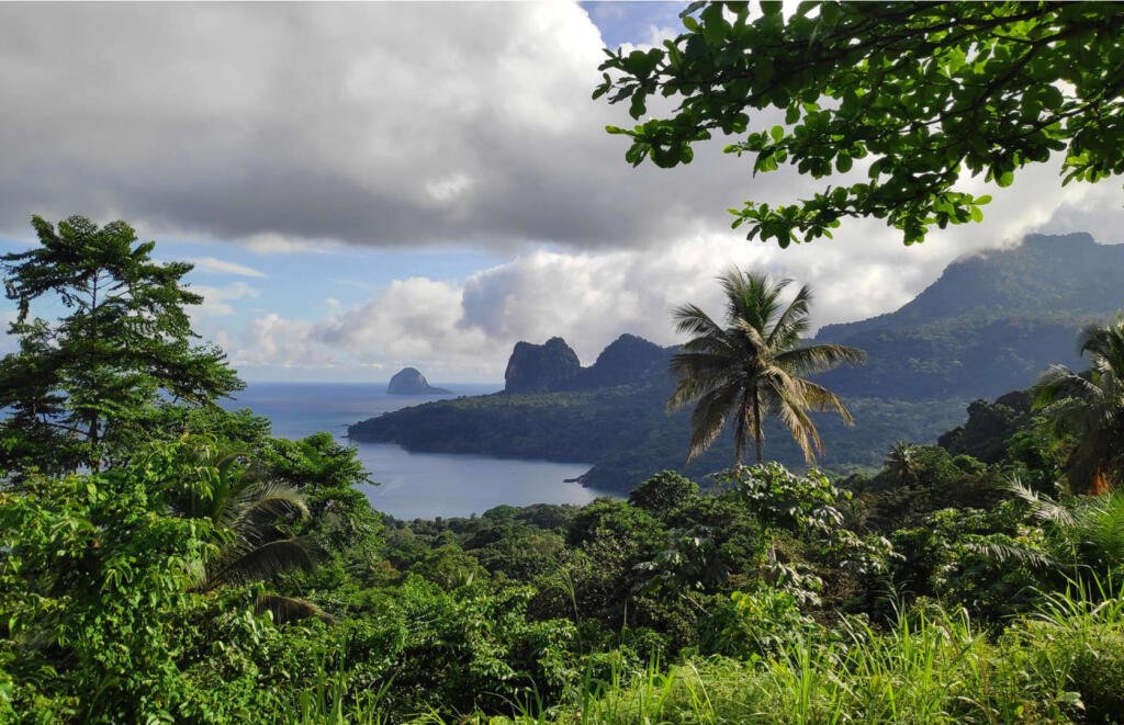 Az ikerszigetekkel rendelkező São Tomé és Príncipe állam Afrika második legkisebb országa, és a látogatók száma is megfelel a méretének: 2018-ban mindössze 33 400-an utaztak ide. A szigetek a nyugat-afrikai Guineai-öbölben találhatók, és a kisebbik Principe - a környező szigetecskékkel együtt rezervátum, amely gazdag endemikus növény- és állatvilágnak ad otthont.