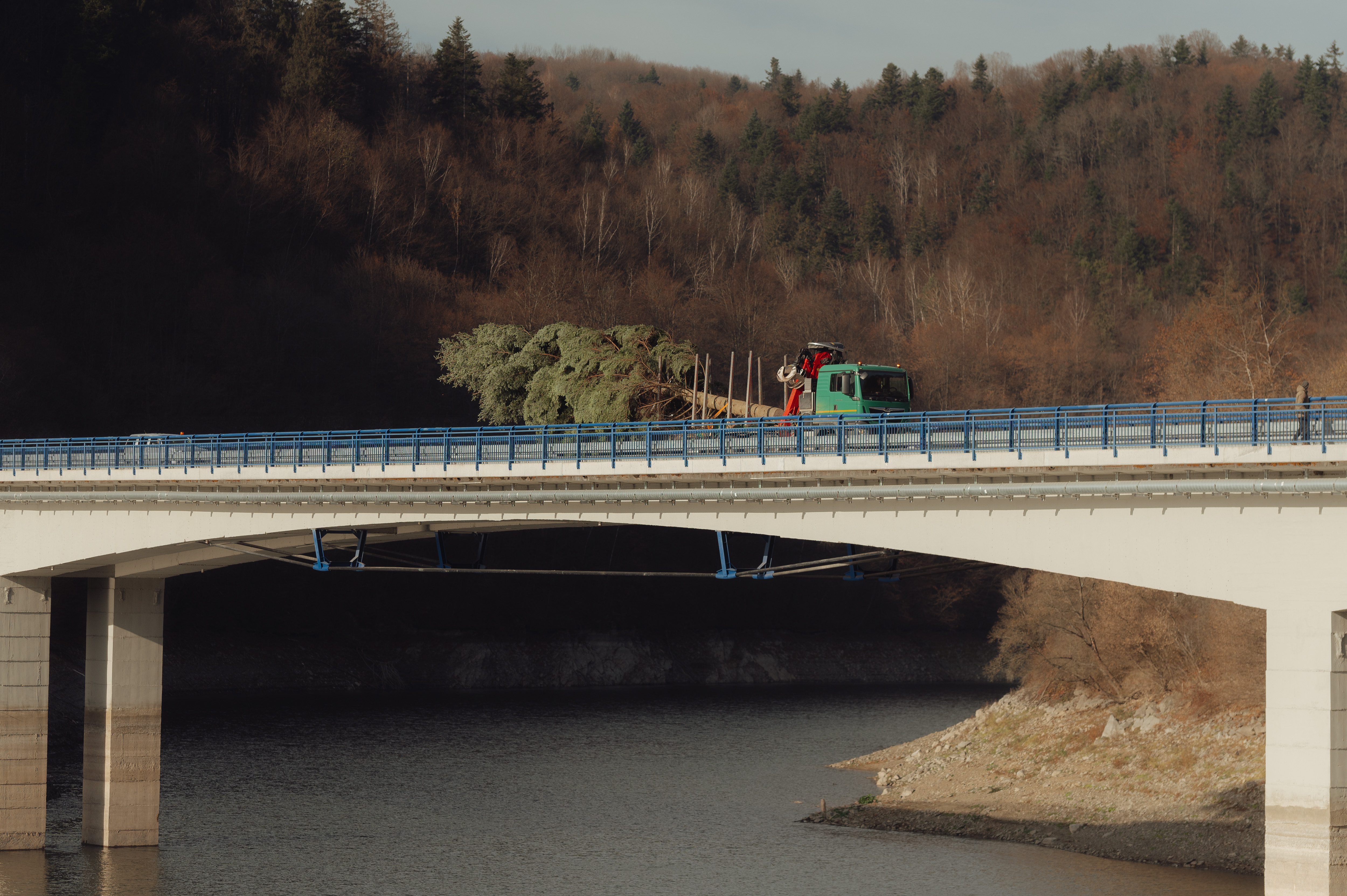 Faszállítás a ruzsíni hídon