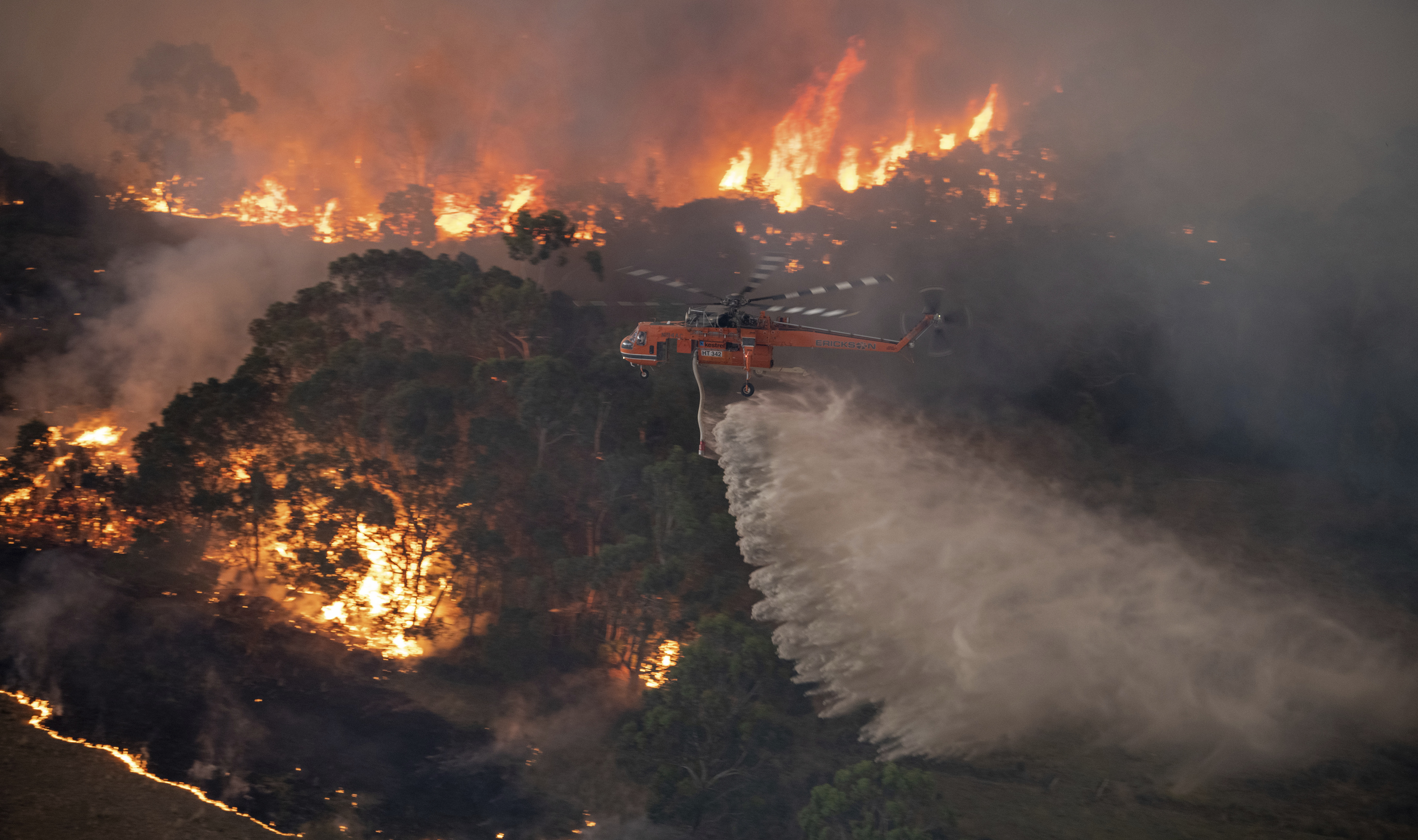 ausztrália erdőtűz