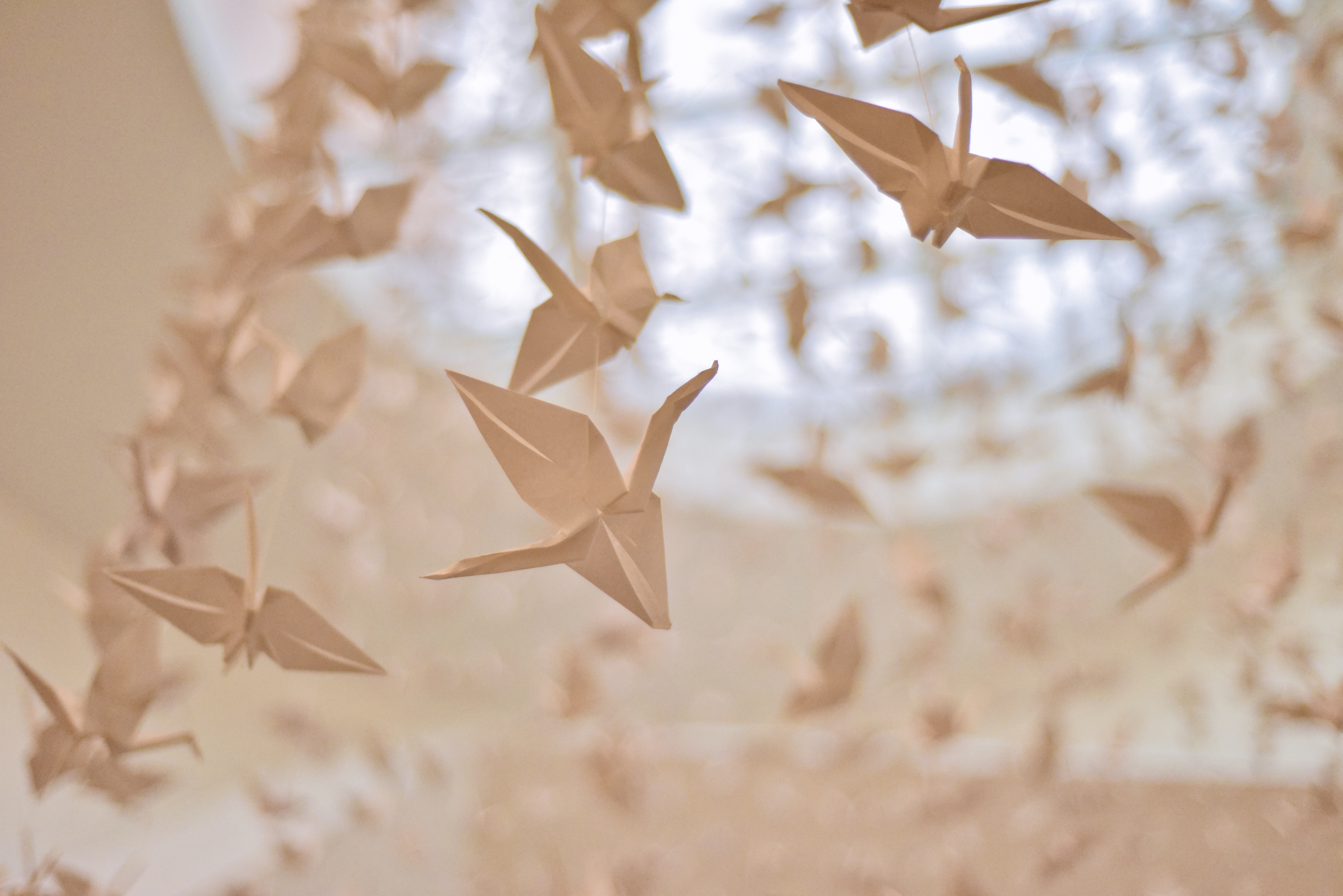 A hajtogatás művészete – Így terjedt el az origami