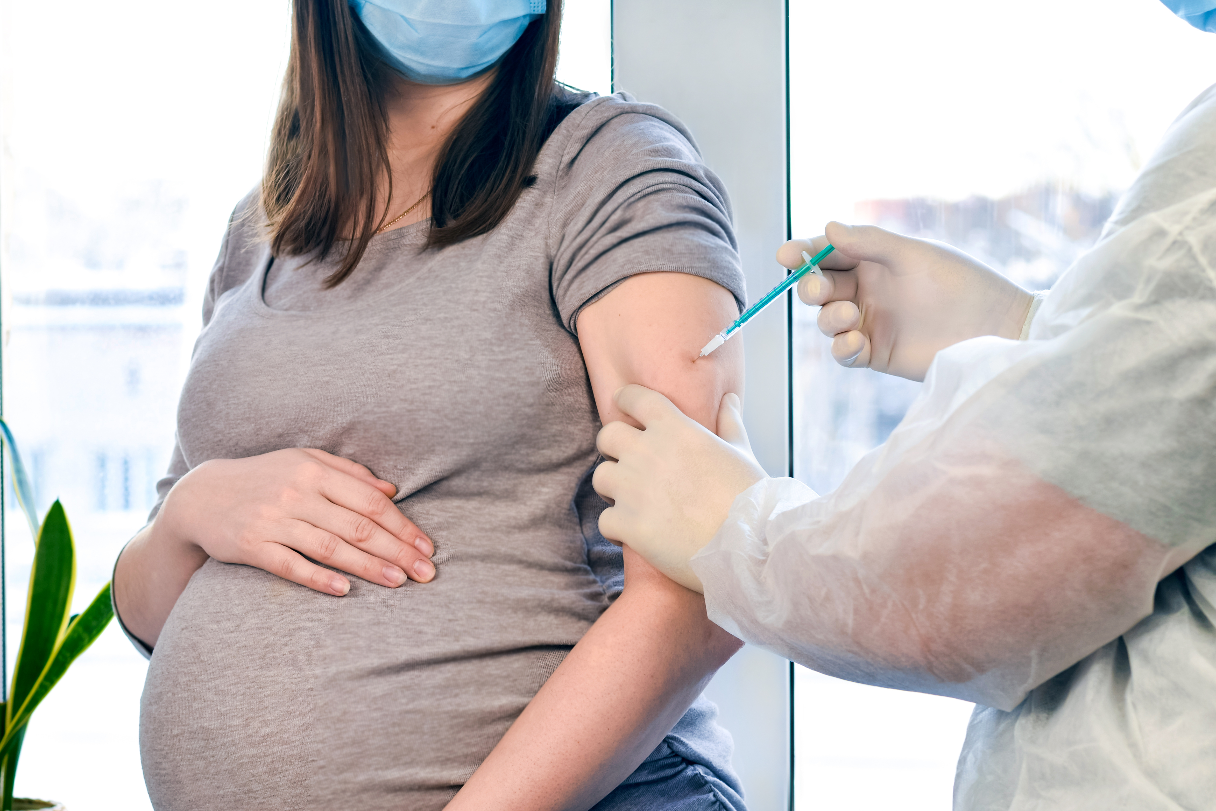 koronavírus-vakcina terhesség