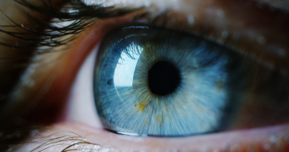 Kutatók visszahozták a szem életjeleit a halál beállta után