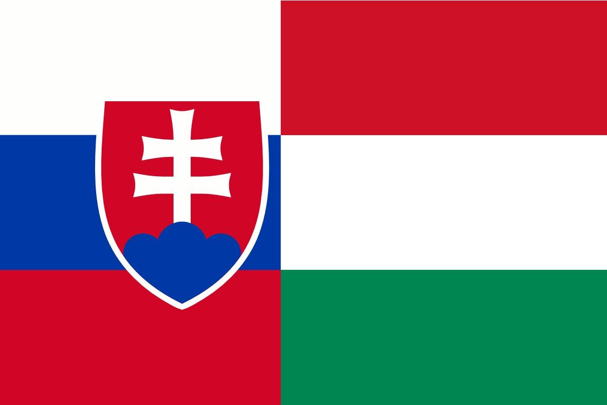 A szlovákiai magyar nyelvhasználat „fáziskésésének” példáiból
