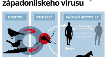 A nyugat-nílusi láz a Flaviviridae családba tartozó vírus által okozott akut megbetegedés, az első esetet 1937-ben Ugandában azonosították. Leggyakrabban szúnyogok terjesztik, és szervátültetés során, vérátömlesztés után vagy transzplacentárisan kapható el. Az egészségügyi minisztérium szerint az emberről emberre történő átvitel nem reális.