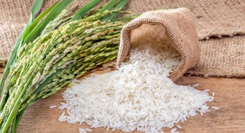 A rizs is nagyszerű szénhidrátforrás, könnyen elkészíthető és tárolható.