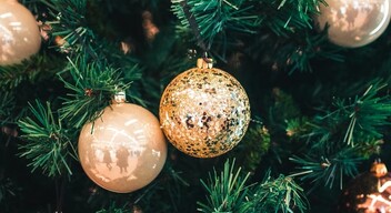 A lap információi Pozsonyban január 6-tól külön erre a célra gyűjtőket helyeznek ki. A karácsonyfák gyűjtése pedig január 10-től február 11-ig fog tartani.-2
