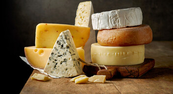 A sajt magas zsír- és nátriumtartalma miatt kerül tiltólistára, így ezen élelmiszer esetében a legfontosabb, hogy mértékkel fogyasszuk. A sajt  kalciumtartalma miatt erősíti a csontjainkat, illetve vitaminokban és ásványi anyagokban is gazdag.