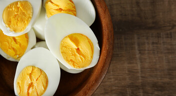 Itthon az az elterjedt, hogy az egészséges tojásnak élénk sárga színe van, pedig igazából a beltartalmi értékét semmilyen módon nem befolyásolja a szín. Csupán azért ragaszkodunk az élénk tojássárgájához, mert ehhez szoktunk. Ez azért lehetséges, mert nálunk a legtöbb helyen a tyúkokat kukorica alapú takarmányon tartották, emiatt pedig a tojásuk sárgája sötétebb színt vett fel. Pedig ez csupán egy tévhit! →