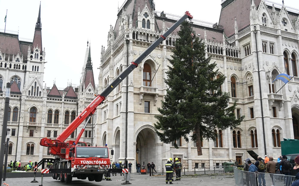 FOTÓK: Felállították Magyarország karácsonyfáját