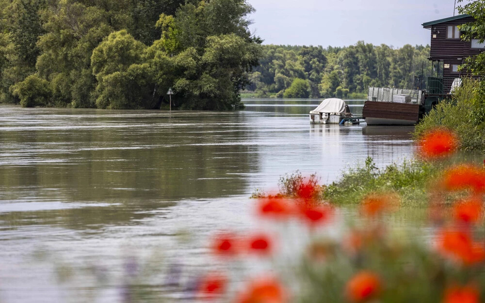 FOTÓK: A Duna vízszintje Bősnél