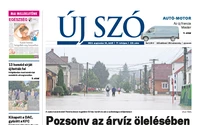 új szó