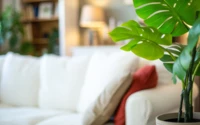 10 dolog, ami a feng shui szerint blokkolja az energiát az otthonodban  