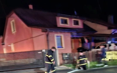 A polgármester szerint a helyzetet súlyosbította, hogy a patakmederben felgyülemlett hulladék akadályozta a víz szabad lefolyását. Hozzátette, hogy a vízelvezető rendszereket néhány héttel korábban még kitisztították, a rendkívüli mennyiségű csapadék azonban így is komoly problémákat okozott.
