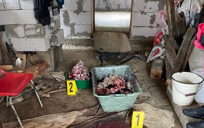 BORZALOM: Brutális módon végzett ki kutyákat, a húsukat feldolgozta a szlovákiai férfi