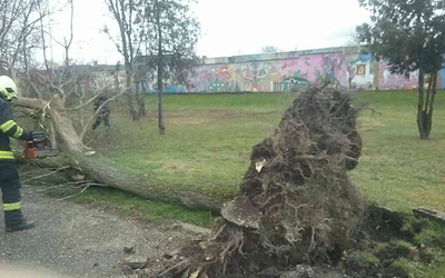 Tombol a szél az országban