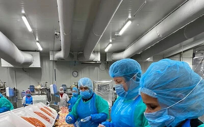 Karantén alá helyezték a diószegi cég koronavírus-fertőzött alkalmazottait