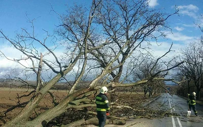 Már kilencven riasztást kaptak a tűzoltók a szélvihar miatt