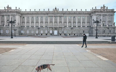 Egy ember, egy kutya és egy királyi palota