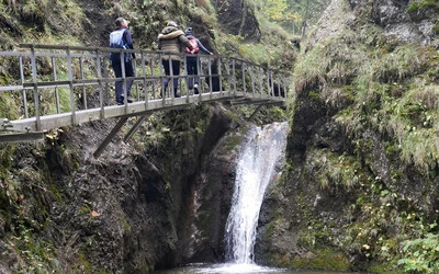 nemzeti park tasr