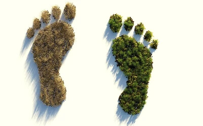 Ökológiai lábnyomunk pontosan meghatározható (A kép forrása: pixabay)