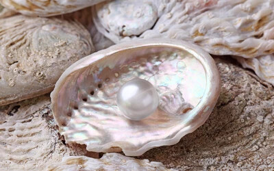 4 ezer eurós gyöngyöt talált kagylóvacsorájában egy nő