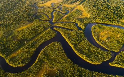 Amazonas