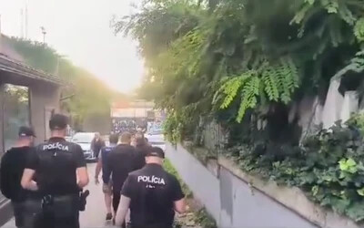 VIDEÓ: Egy nap alatt hét körözött bűnözőt fogtak el a rendőrök
