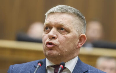 robert fico k