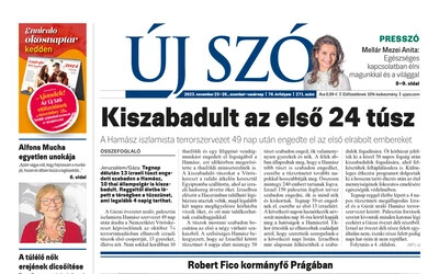 új szó