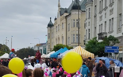 A szerző illusztrációs felvétele