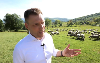 Tomáš Taraba