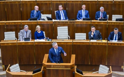 Fico-parlament
