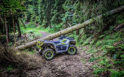 quad