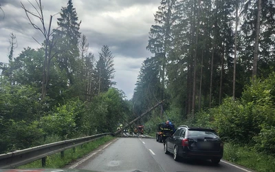 vihar rendőrség