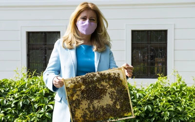 Zuzana Čaputová méhkaptár